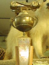 Irvin's trophy from his 1955 victory at Lakewood Speedway remains in a place of honor at Irvin's store.  Photo by Brandon Reed